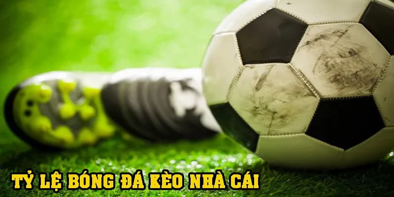 Những loại cược tỷ lệ cá độ bóng đá phổ biến tại Kubet