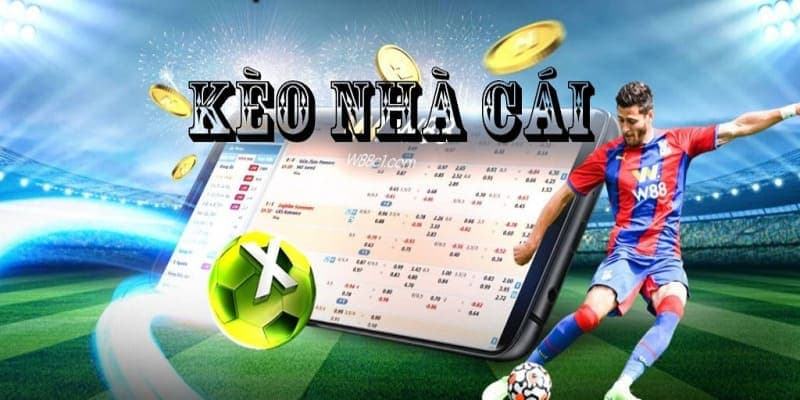 Hướng dẫn cách đọc và hiểu tỷ lệ kèo nhà cái Kubet