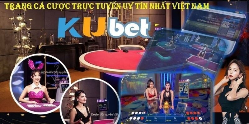 Các dịch vụ cá cược đa dạng tại nhà cái Kubet